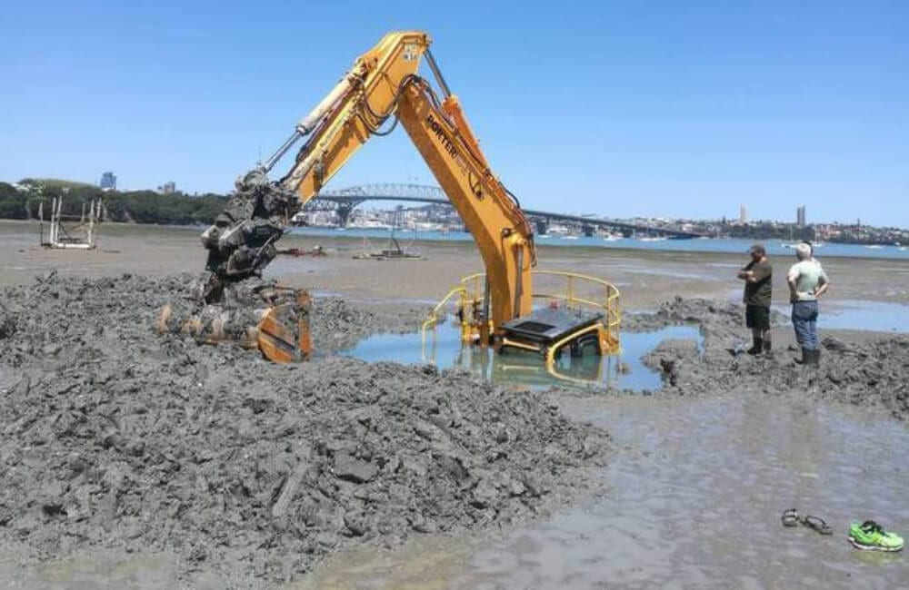 Digger on the Beach @ u / fjmgtw / Reddit.com