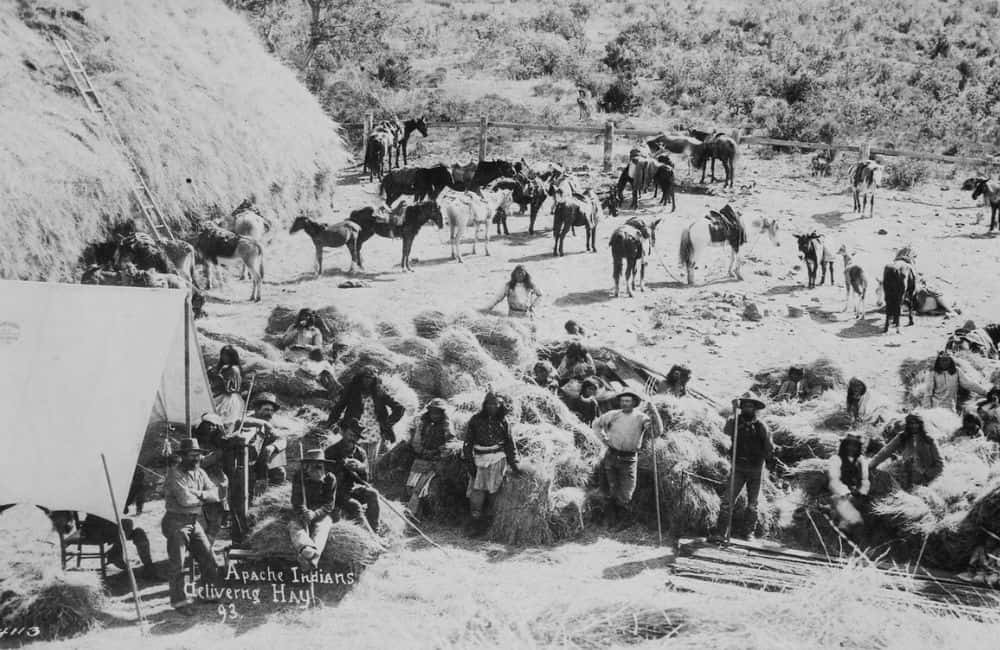 Apaches livrant du foin ©US National Archives/Wikimedia Commons